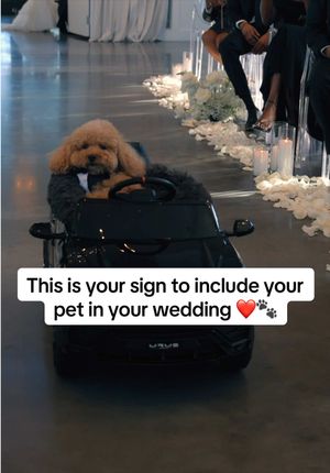 Video post by @lovestoriestv on TikTok