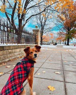 Image post by @visitsaintpaul on Instagram