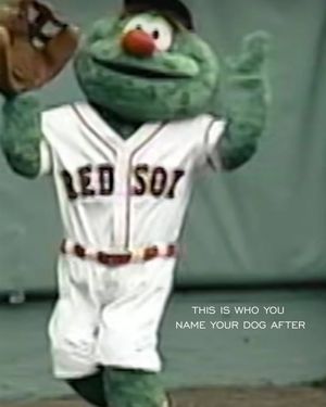 Image post by @wallyredsox on Instagram