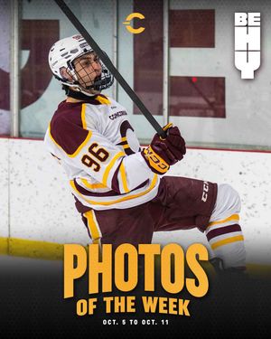 Image post by @the_stingers on Instagram