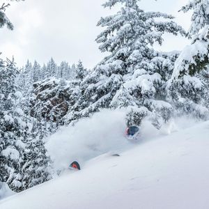 Image post by @skitaos on Instagram
