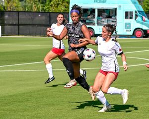 Image post by @wpsl on Instagram