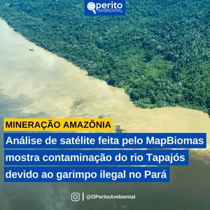 Image post by @operitoambiental on Instagram