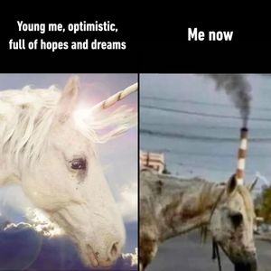 Image post by @9gag on Instagram
