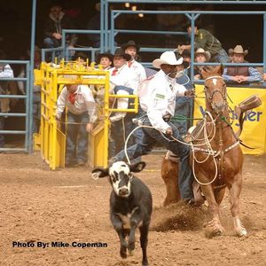 Image post by @prca_prorodeo on Instagram