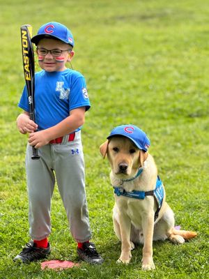 Image post by @canineorg on Instagram