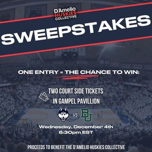 Image post by @dameliohuskies on Instagram
