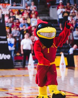 Image post by @themascotcy on Instagram