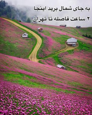 Image post by @travelgardi on Instagram