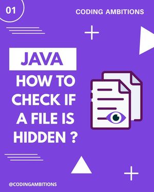 Image post by @codingambitions on Instagram