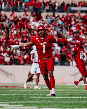 Image post by @unmlobofb on Instagram
