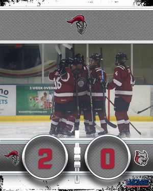 Image post by @arcadia_knights on Instagram