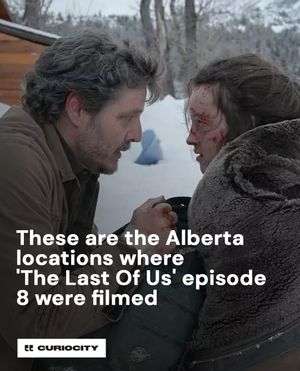 Image post by @curiocitycalgary on Instagram