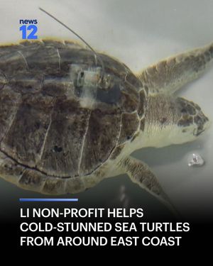 Image post by @news12li on Instagram