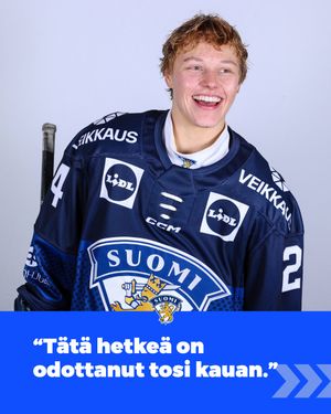 Image post by @leijonatfi on Instagram