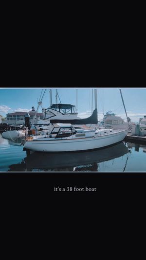 Video post by @sailing_with_phoenix on TikTok