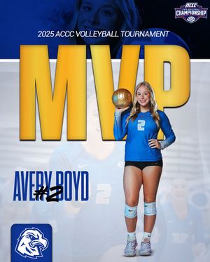 Image post by @warhawkvb on Instagram