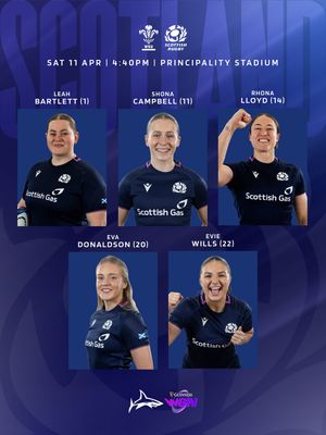 Image post by @salesharkswomen on Instagram