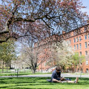 Image post by @harvard on Instagram