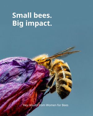 Image post by @unesco on Instagram