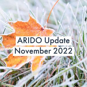 Image post by @aridontario on Instagram