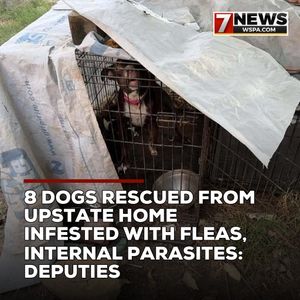 Image post by @wspatv on Instagram