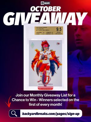 Image post by @backyardbreaks on Instagram