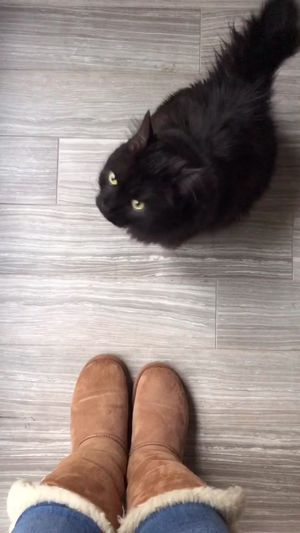Video post by @livinglocurto on TikTok