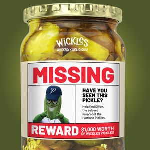 Image post by @picklesbaseball on Instagram