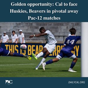 Image post by @dailycalsports on Instagram