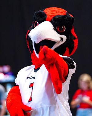 Image post by @semoredhawks on Instagram