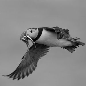 Image post by @rspb on Instagram