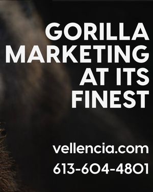 Image post by @vellenciastrategies on Instagram