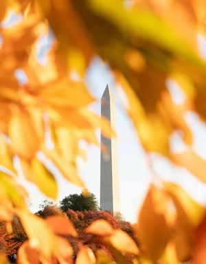 Image post by @igdc on Instagram