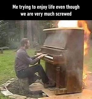 Image post by @9gag on Instagram