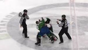 Video post by @flohockey on YouTube