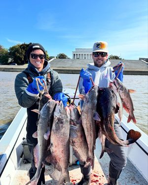 Image post by @luke_mcfad on Instagram