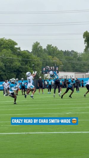 Video post by @panthers on TikTok
