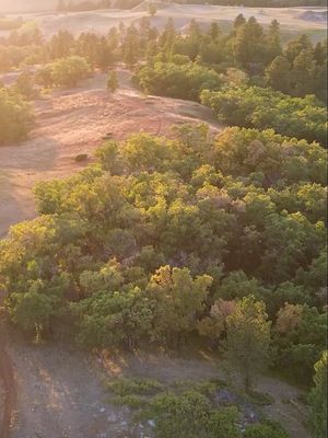 Image post by @realtreeoutdoors on Instagram