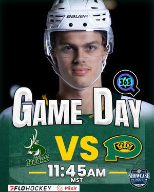 Image post by @bchlkings on Instagram