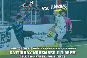 Image post by @stlouisambush on Instagram