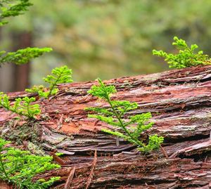 Image post by @nationalparkservice on Instagram