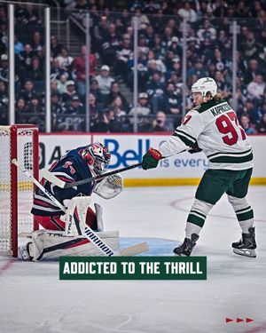 Image post by @minnesotawild on Instagram