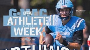 Image post by @nutimberwolves on Instagram