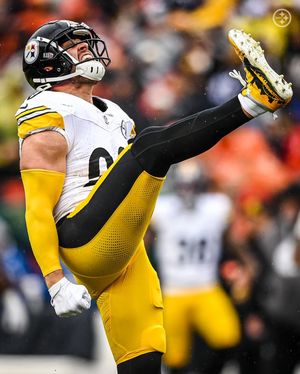Image post by @steelers on Instagram