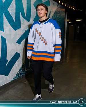 Image post by @NHL on Twitter/X