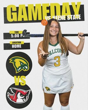 Image post by @fsufalconsfh on Instagram