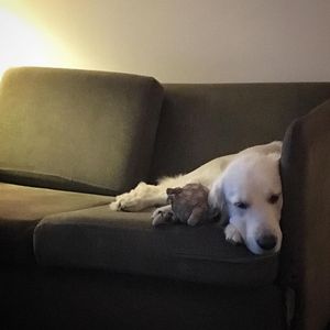 Image post by @mikethewhitegolden on Instagram