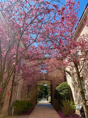 Image post by @hofstrau on Instagram