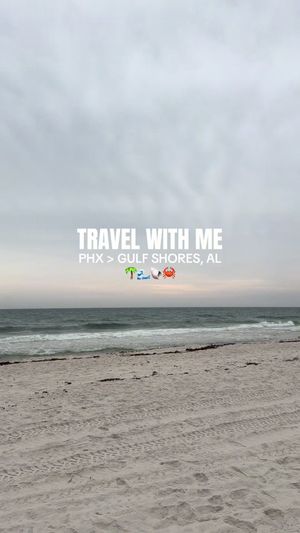 Video post by @abischlesinger on TikTok